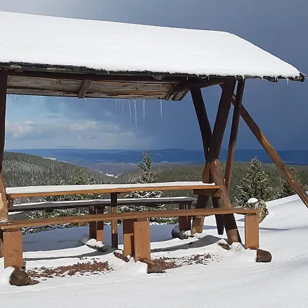 Paula Daire Oberhof (Thuringia)