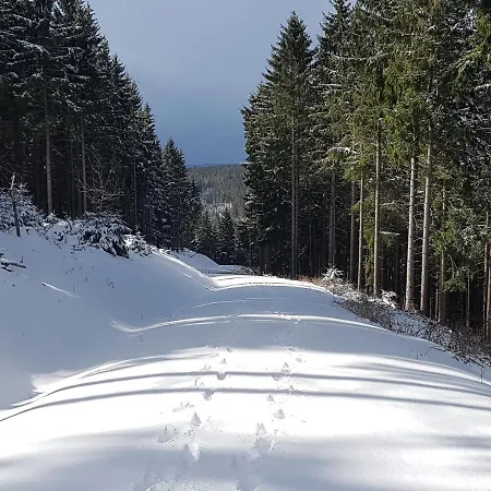 Daire Paula Oberhof (Thuringia)