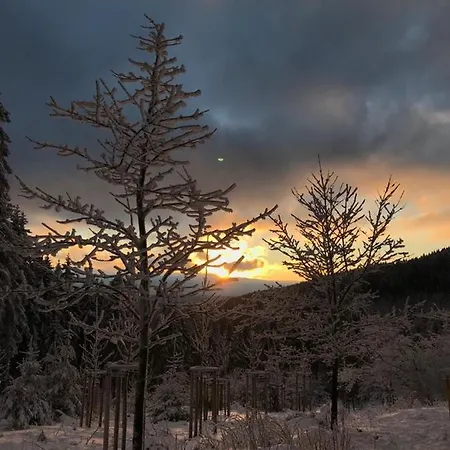 Paula * Oberhof (Thuringia)