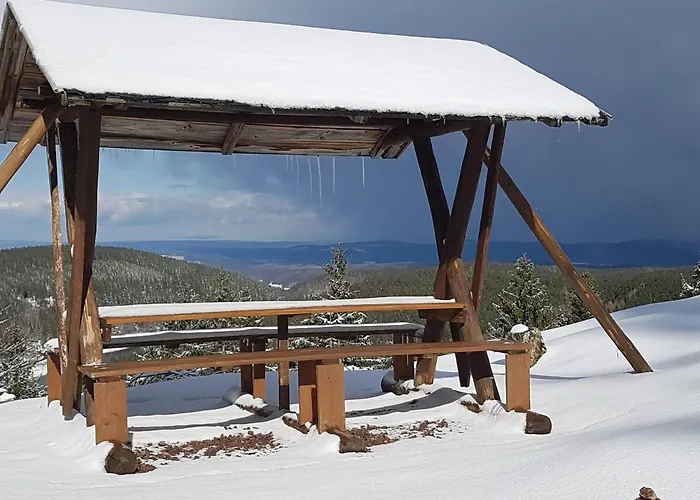 Paula Daire Oberhof (Thuringia)