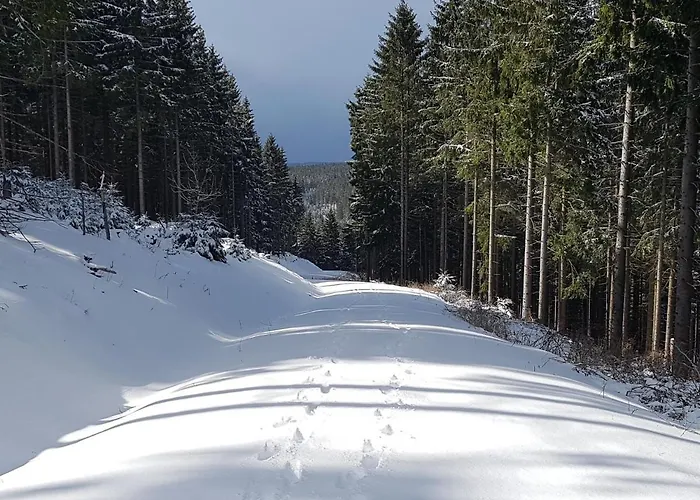 Appartamento Paula Oberhof (Thuringia)