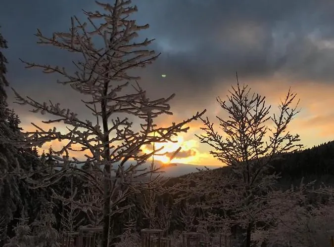 Paula * Oberhof (Thuringia)